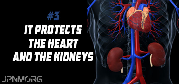 best all in one supplement for liver heart and kidney support