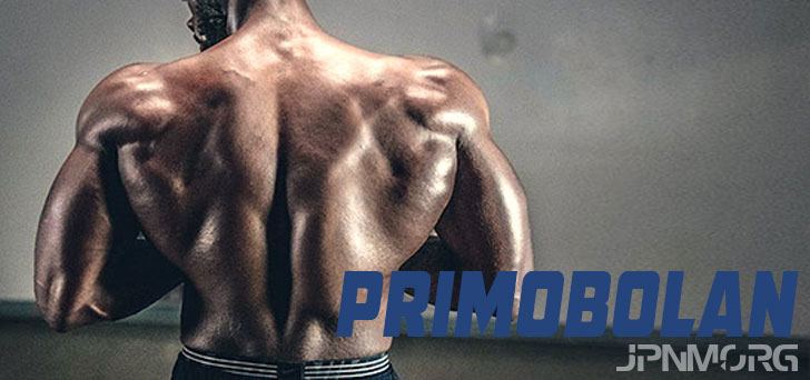 Das Geschäft mit peptide wirkung bodybuilding