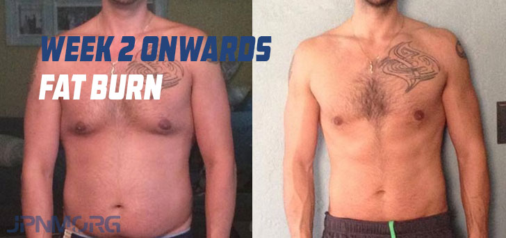 primo resutls before and after
