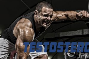 testosterone esters