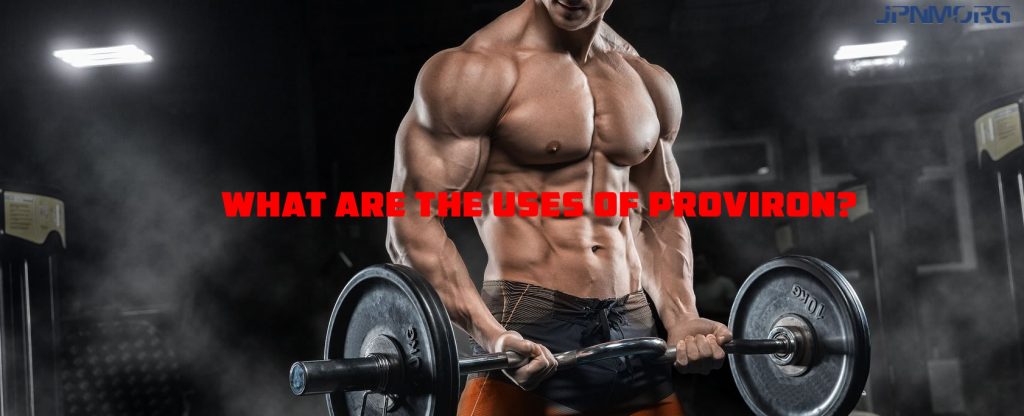 Mesterolone results